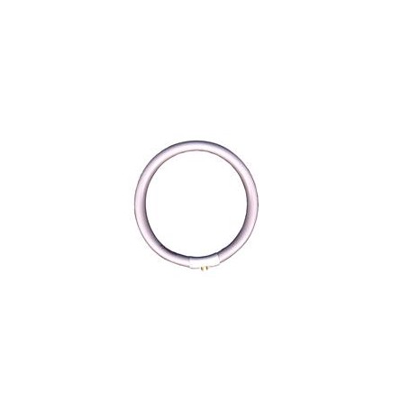 TUBO FLUORESCENTE NUEVO 09331