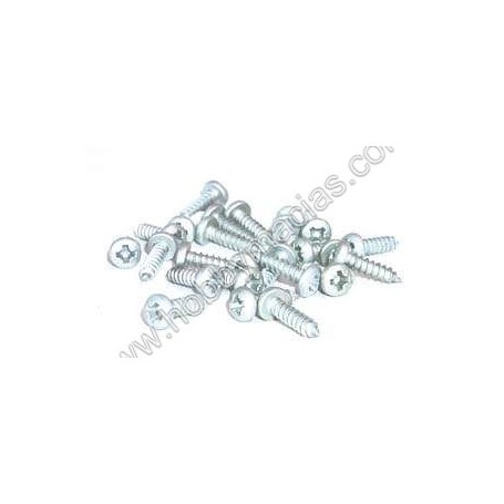 TORN.R/CHAPA 2.8X16   (10)