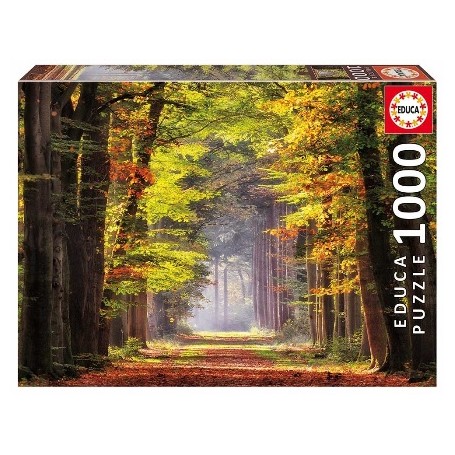PUZZLE EDUCA 1000 PASEO OTO