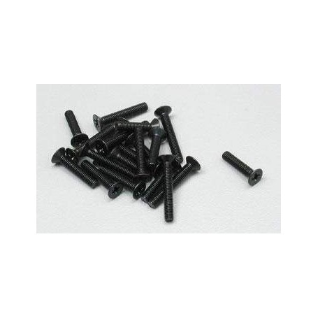 TORN.C/AVE.ALLEN M3X20 (10) PH