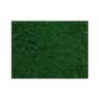 TAPIZ VERDE MEDIO  1X1.5 M. 62100