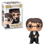 FUNKO HARRY POTTER HARRY 42608