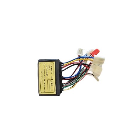 MINI MOTO 24V CENTRALITA PCB 250W