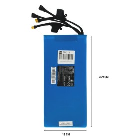 ZWHEEL BATERIA 48V LITIO - 12.5 AH  DUO ZM319