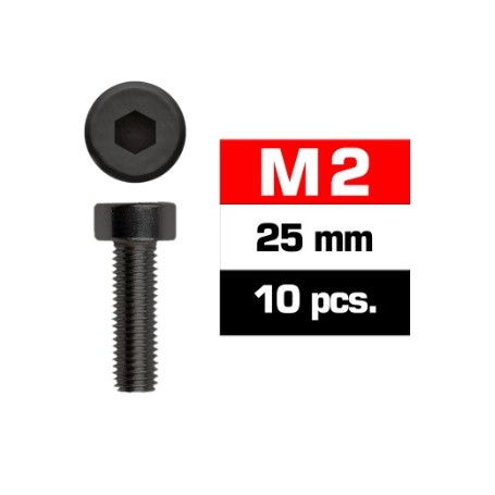 TORN.ALLEN M2X25 ALLEN (10UND) UR161225