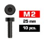 TORN.ALLEN M2X25 ALLEN (10UND) UR161225
