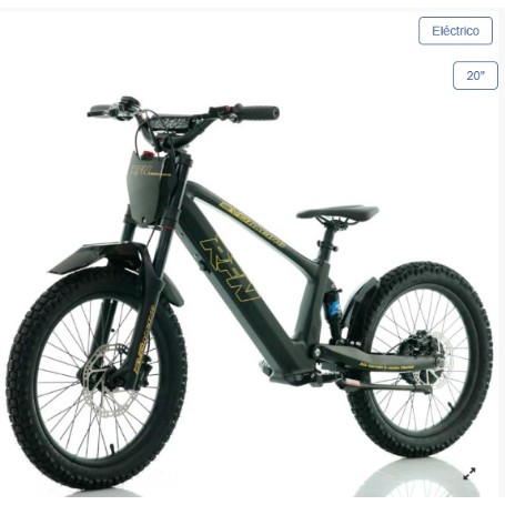 BICICLETA ELECTRICA 20" SIN PEDALES 750W 36V. RFN EVO RACING( GRIS).