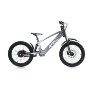 BICICLETA ELECTRICA 20" SIN PEDALES 750W 36V. RXF EVO RACING( GRIS )