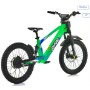 BICICLETA ELECTRICA 20" SIN PEDALES 750W 36V. RXF EVO RACING( VERDE )