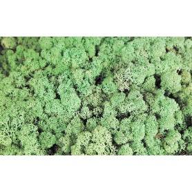 KERANOVA MUSGO VERDE MENTA 25G 602525