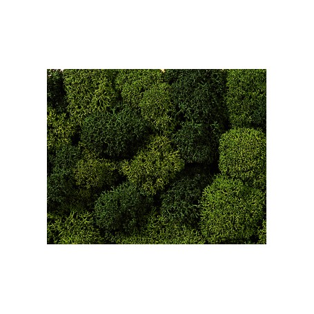 NOCH MUSGO VERDE 08610