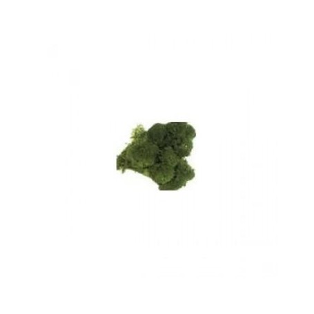 KERANOVA MUSGO NAT.VERDE MEDIO    602025